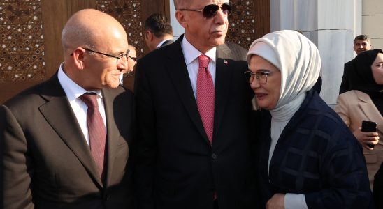 Turkiye Mehmet Simsek an economy minister on an impossible mission