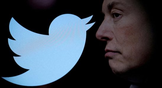 Twitter faces record fine for copyright infringement