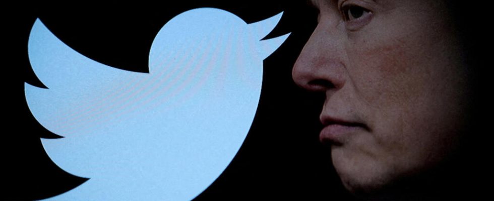 Twitter faces record fine for copyright infringement