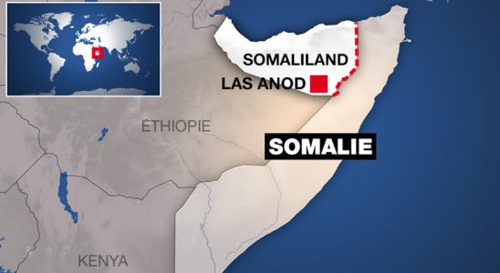 UN Security Council calls for Somaliland withdrawal from Las Anod