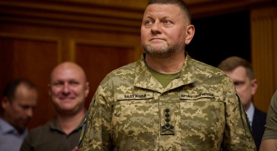 Ukrainian army chief of staff exasperated by Western criticism