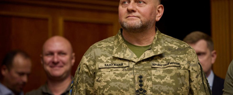 Ukrainian army chief of staff exasperated by Western criticism