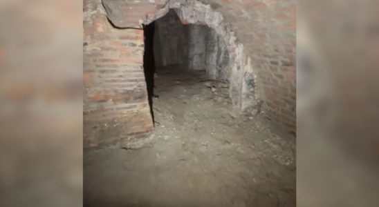 Utrechts ghost cellar belonged to master confectioner Buijs