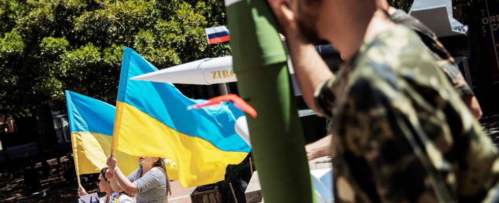 War in Ukraine how Africa will try to mediate between