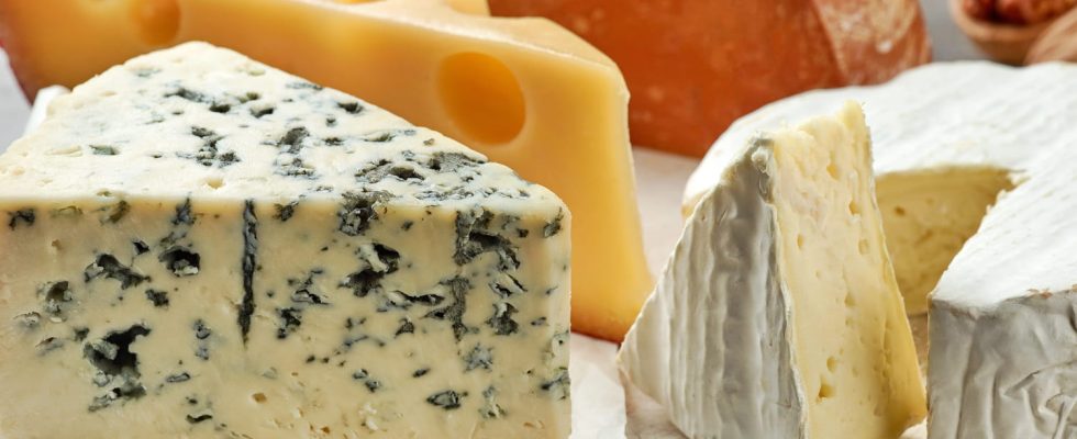 Which cheese can I eat when pregnant and which ones