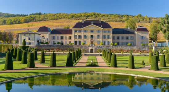 Wines Chateau de La Chaize or the revival of Beaujolais