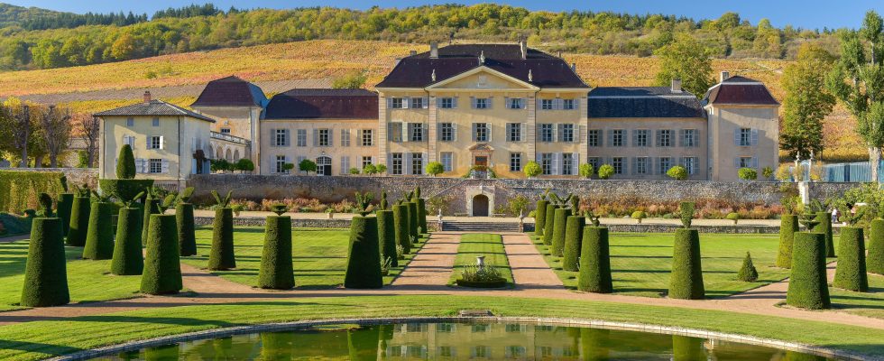 Wines Chateau de La Chaize or the revival of Beaujolais