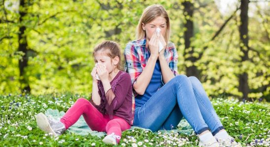 World Allergy Week focus on the impact of the environment