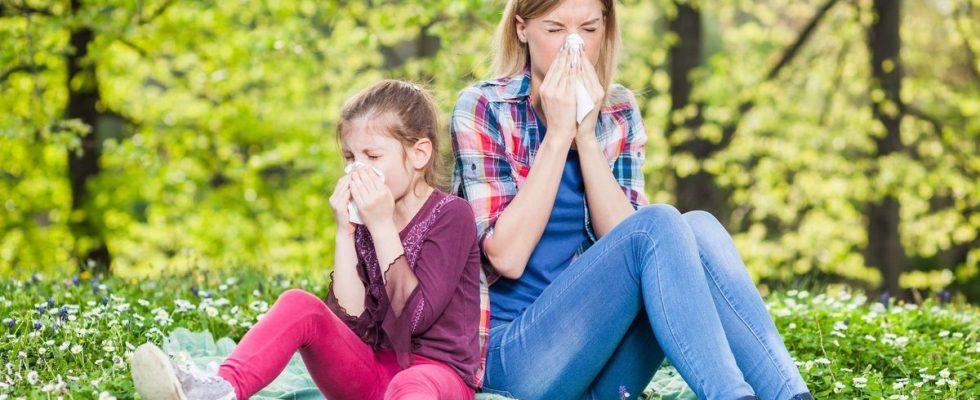 World Allergy Week focus on the impact of the environment