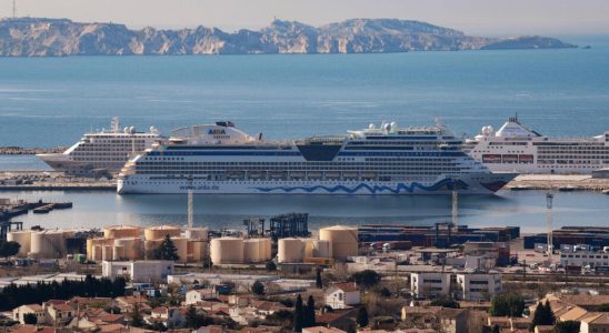 cruise lines promise full decarbonization by 2050