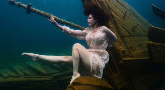 1689803706 Brantford model part of world record underwater photo shoot