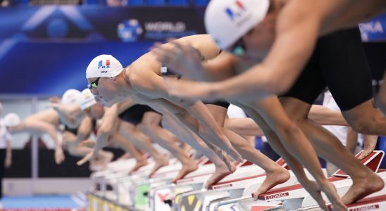 2023 World Swimming Championships todays program with a shower of