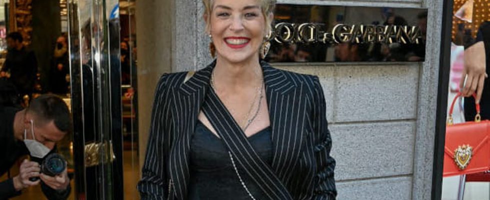 65 Year Old Sharon Stone Makes the Buzz in a Swimsuit Check