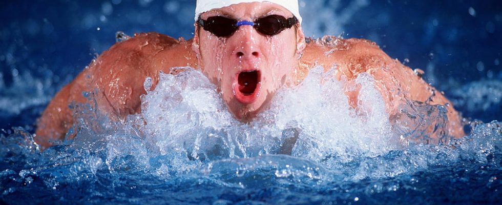 A family of swimmers