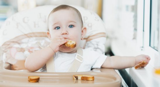 Baby food at 12 months the beginning of real meals