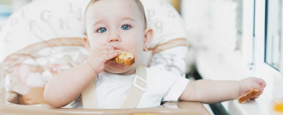 Baby food at 12 months the beginning of real meals