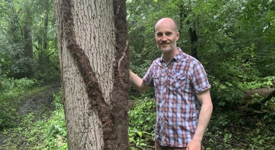 Brant County man makes history with fascinating discovery