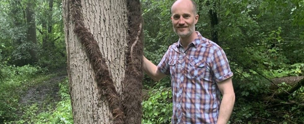 Brant County man makes history with fascinating discovery