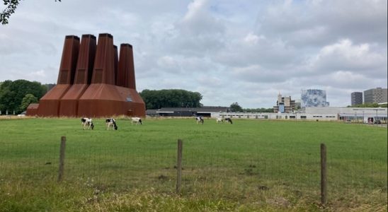 Concerns about mega chicken housing Utrecht University what about that