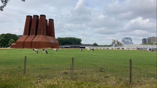 Concerns about mega chicken housing Utrecht University what about that