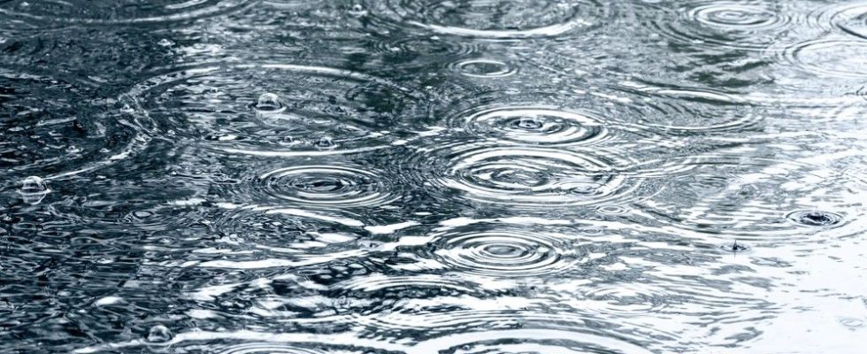 Conservation authority monitoring rainfall water levels