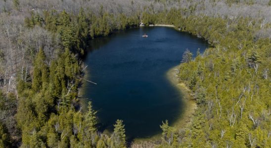 Crawford Lake in Canada chosen as the reference site for