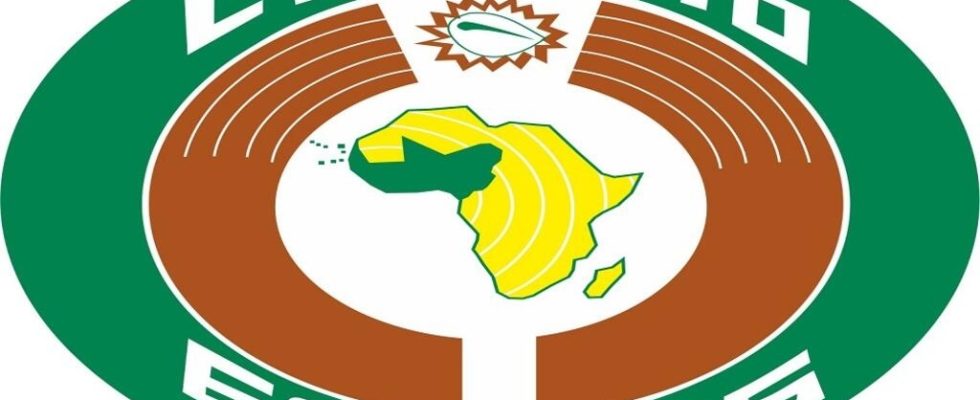 ECOWAS Summit heavy menu on the agenda of West African