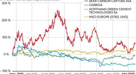 Ecological transition what if you bet on young shoots