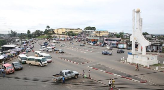 Elections in Gabon 19 candidates validated the opposition in search