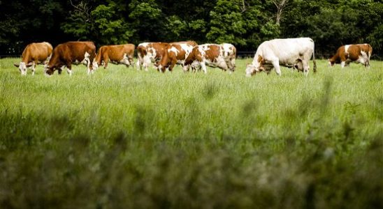 Environmental club is looking for a farmer for an experiment