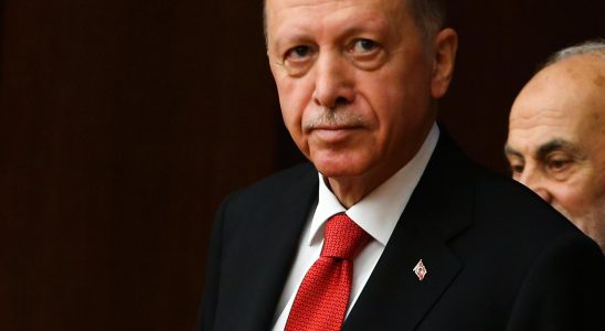 Erdogan Ukraine deserves NATO membership