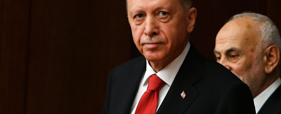 Erdogan Ukraine deserves NATO membership