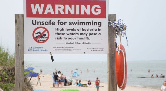 Everything beachgoers should know about E coli risks