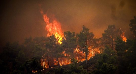 Fires in Greece how the country benefits from European cooperation