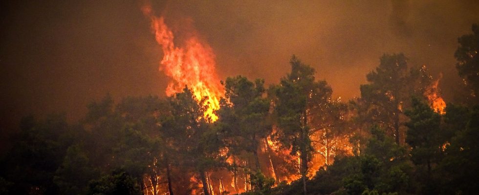 Fires in Greece how the country benefits from European cooperation