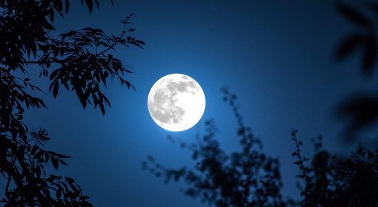 Full Moon 2023 The Effects On Your Zodiac Sign In