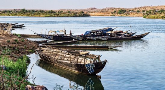 Guinea suspends its participation in the Organization for the Development