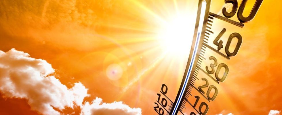 Heat wave the UN confirms July will be the hottest