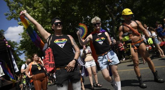 Hungary a Pride March in Budapest to protest against the