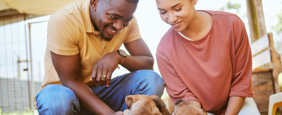 Im a Canine Behaviorist and Here Are the Three Dog