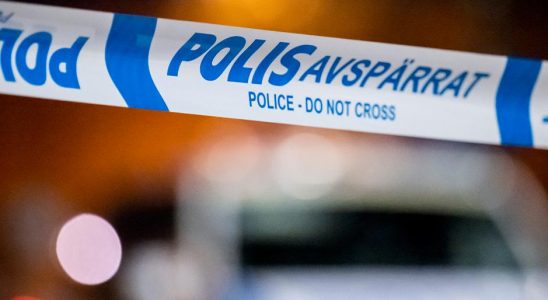 Man shot at leisure farm in Satra in Gavle