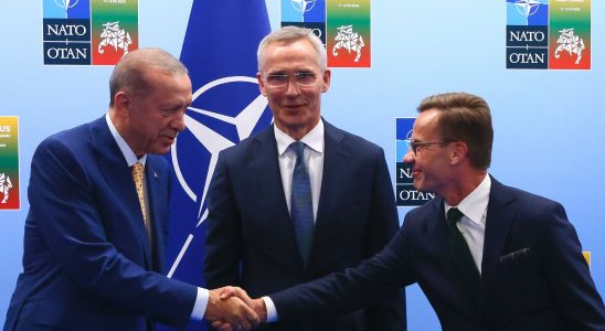 NATO Erdogan agrees to support Swedens membership