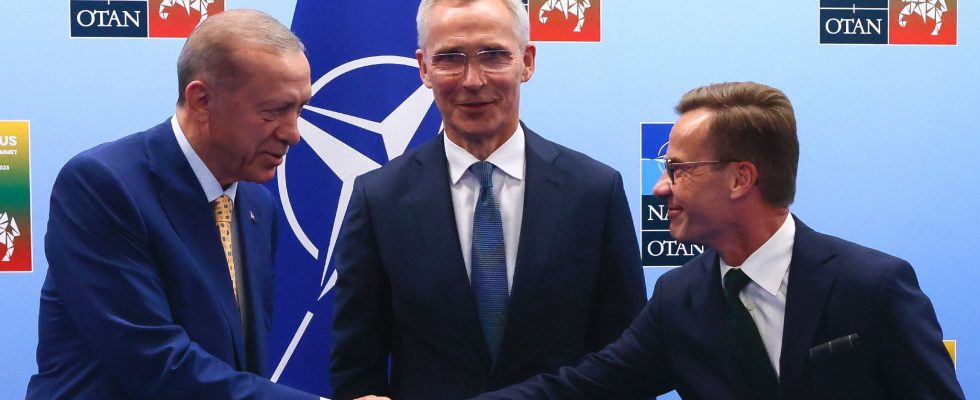 NATO Erdogan agrees to support Swedens membership