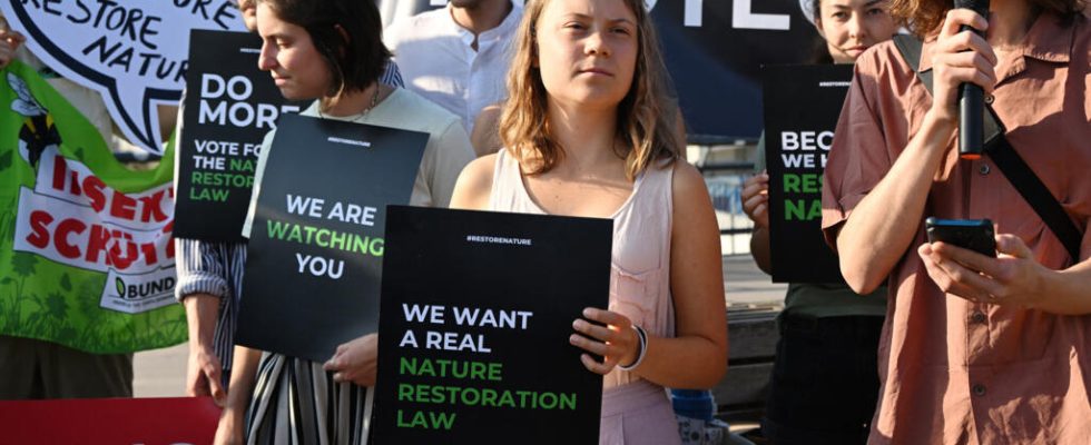 Nature Restoration Law Environmentalists and farmers clash in European Parliament