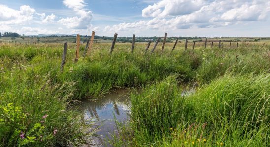 Nature protection the government finally gets wet