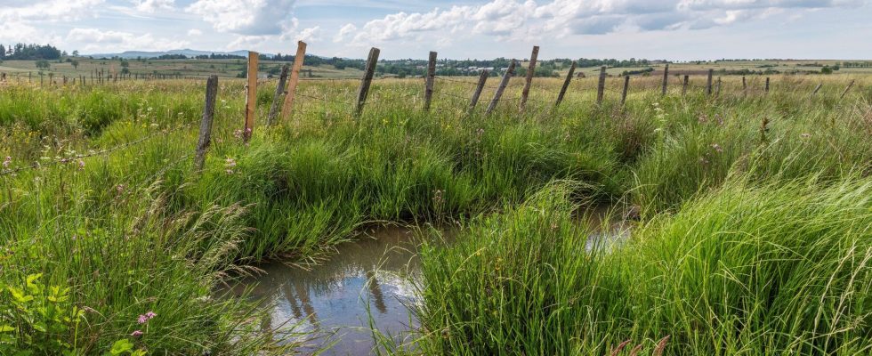 Nature protection the government finally gets wet