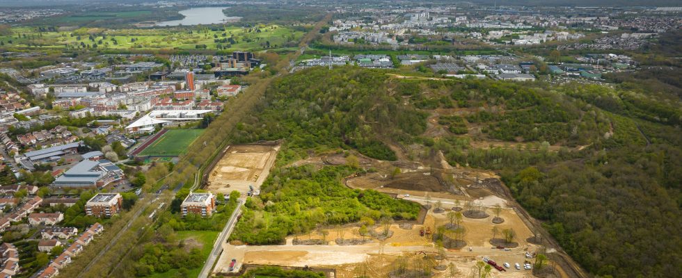 Olympic Games 2024 the new life of the Elancourt hill