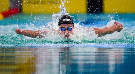 Paraswimming World Championships Zijderveld wins gold in 100m breaststroke silver