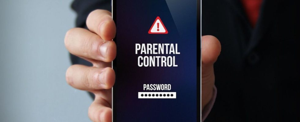 Parental control will be mandatory on all connected terminals from