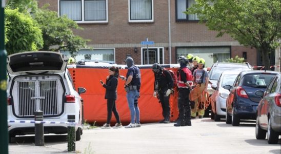 Police use flash grenades to get confused man from roof